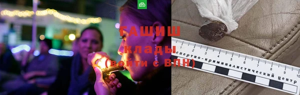 тгк Новодвинск