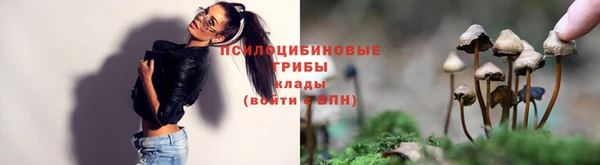 соль курить ск Алзамай