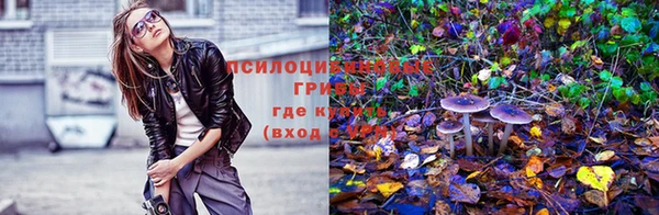 spice Алексин