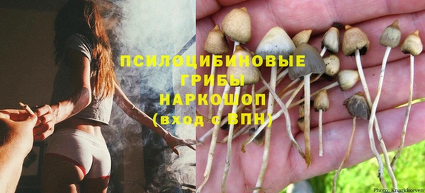 spice Алексин