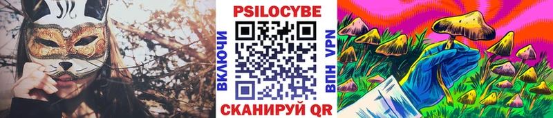 Галлюциногенные грибы Psilocybe  Бердск 
